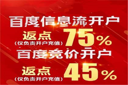 百度竞价公司案例分析：提升转化率的策略